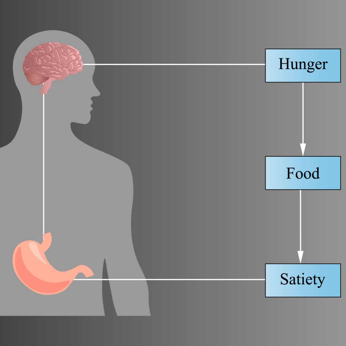 Mold Impacts on Blood Sugar, Hunger Signals, and Weight